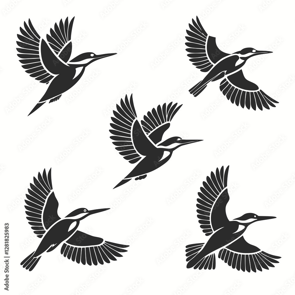 Obraz premium set of birds