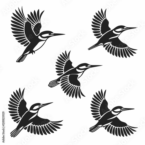 set of birds