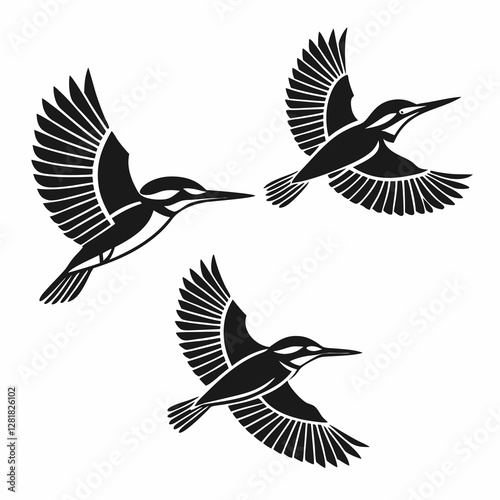 set of birds