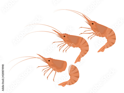 Shrimp on a white background.