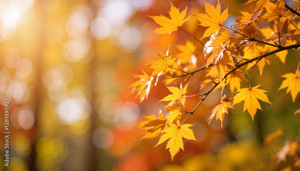 Vibrant sugar maple buds glowing in autumn park light, seasonal beauty Vibrant sugar maple buds glowing in autumn park light, seasonal beauty