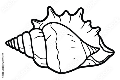 Conch line art silhouette vector graphic clipart.