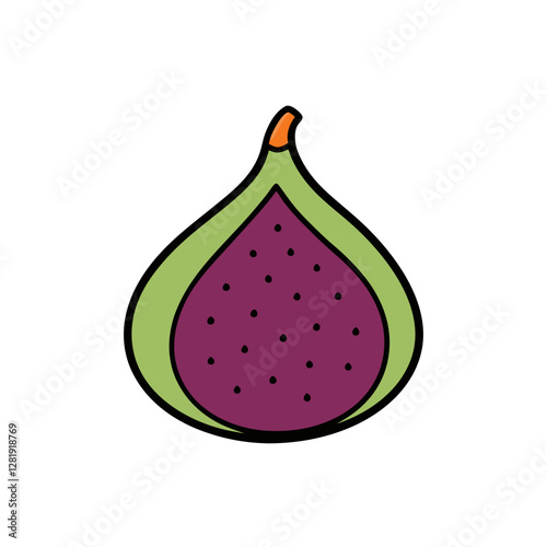 vector illustration of a fig