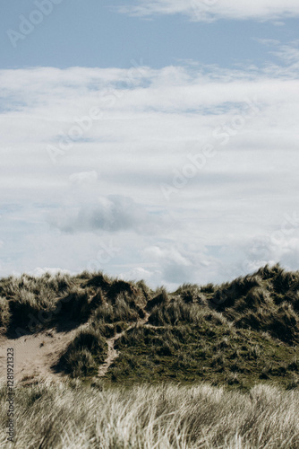 Green grass on the beach