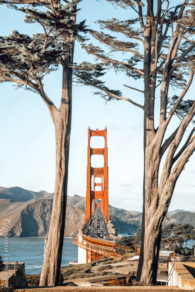 the famous golden gate bridge of san francisco