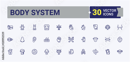 Body System isolated icon set. Contains linear outline icons like system, body, stomach, joint, health, digestive, leg, science. Minimalistic icon. Editable stroke icon collections.