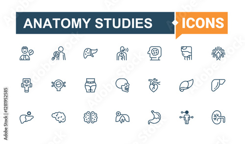Anatomy Studies modern icons set. Contains such icons as body, system, tongue, organ, leg, dental, spinal and more. Minimalistic icon. Solid line editable vector illustration.