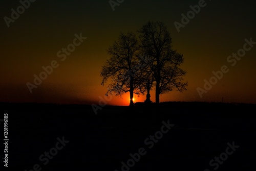 sunset in the woods