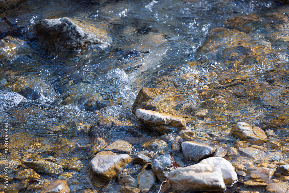 Clear Water Flowing Over Rocky Riverbed in Nature Clear Water Flowing Over Rocky Riverbed in Nature