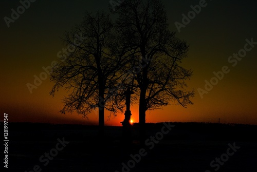 sunset in the woods