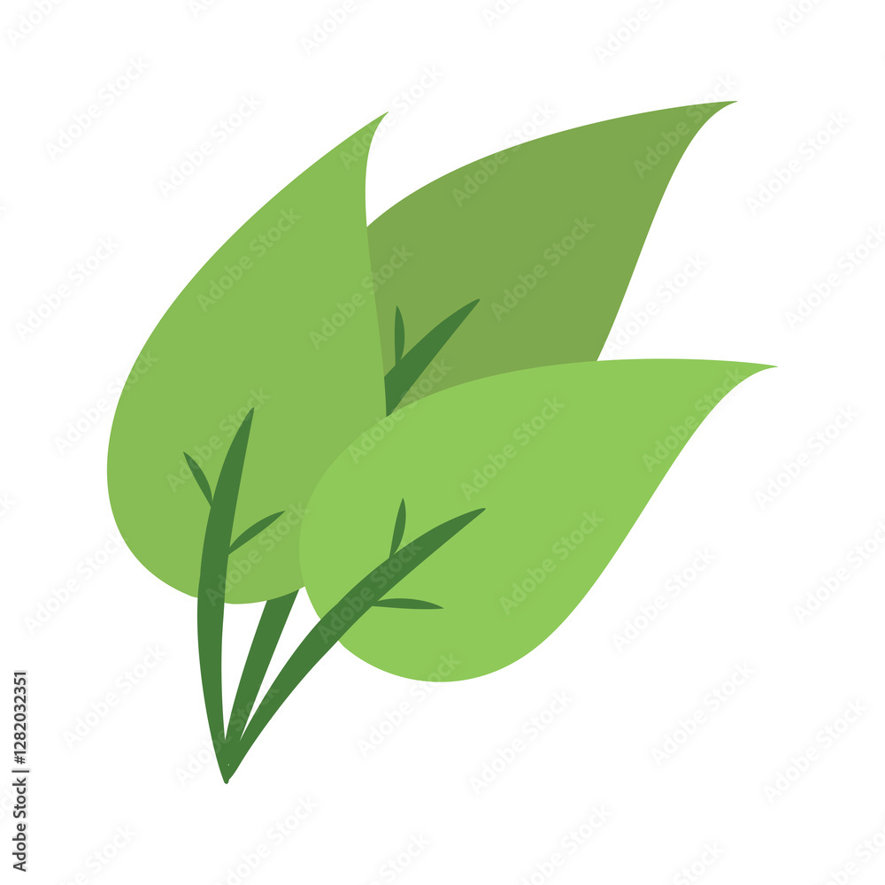 Fototapeta premium three green leaf vector ilustration