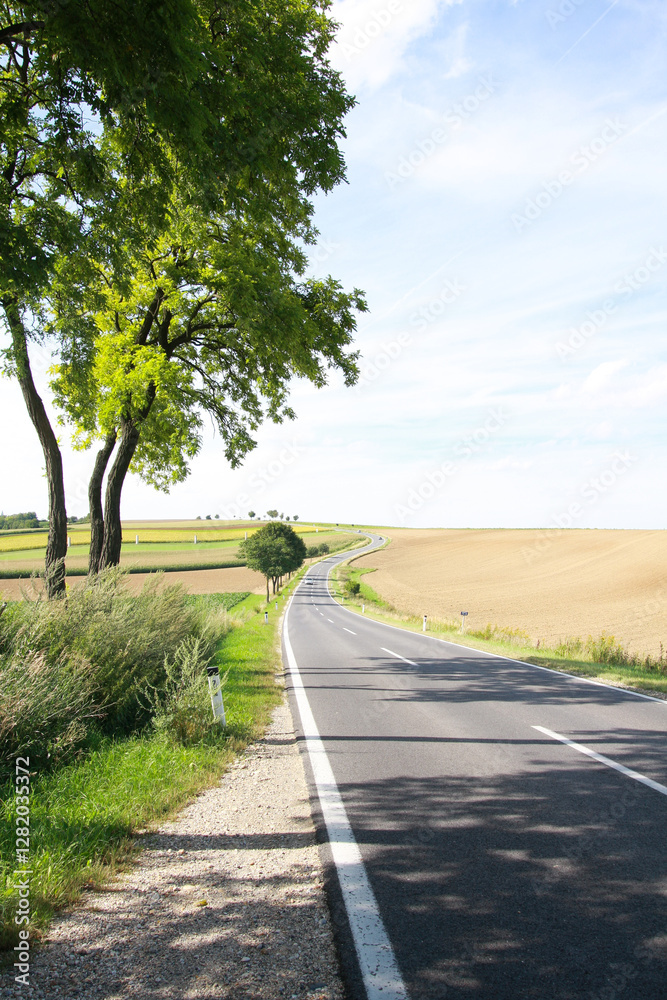 Fototapeta premium Baum neben der Straße