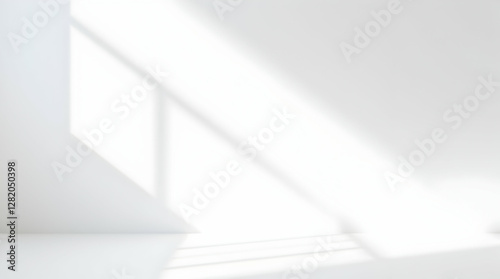 Simple White Backdrop