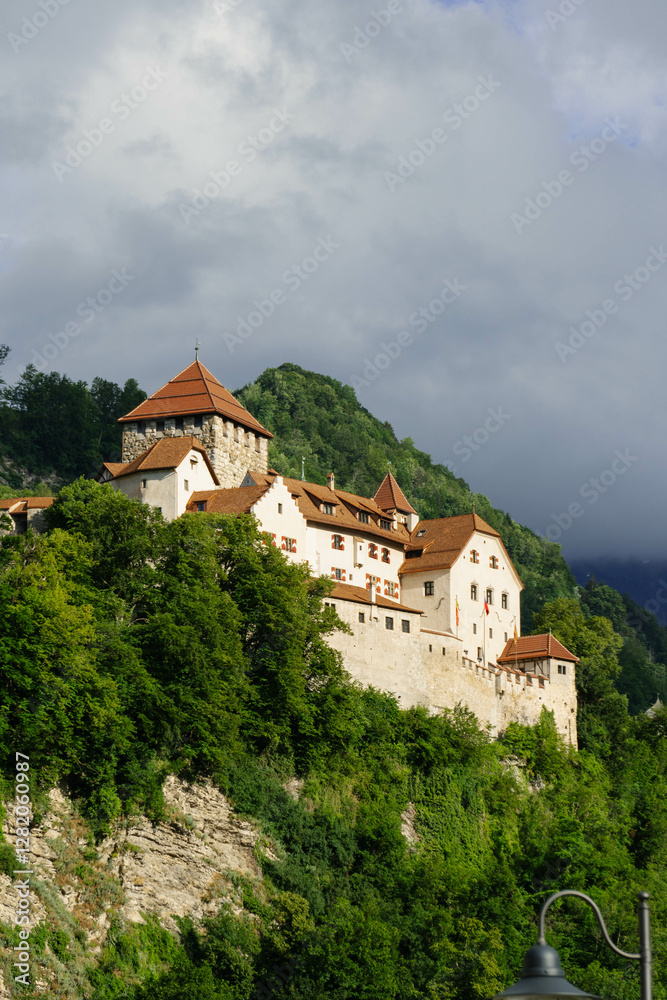 Obraz premium old royal medieval castle in the mountains swiss alps with green forest around in summer in smallest country in europe with mountains behind