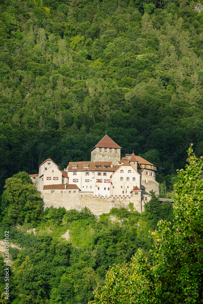 old royal medieval castle in the mountains swiss alps with green forest around in summer in smallest country in europe old royal medieval castle in the mountains swiss alps with green forest around in summer in smallest country in europe