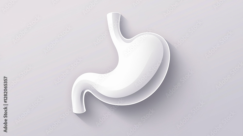 minimalist white human stomach illustration on a light background minimalist white human stomach illustration on a light background