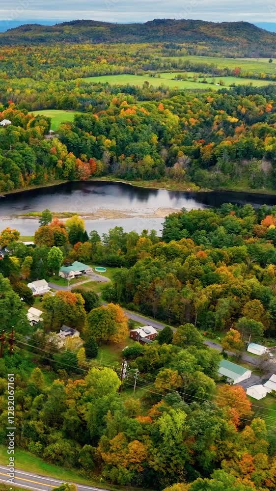 Aerial view flyover pine trees of beach and lake in green autumn forest. Adirondack mountains. Vertical video. Aerial view flyover pine trees of beach and lake in green autumn forest. Adirondack mountains. Vertical video.
