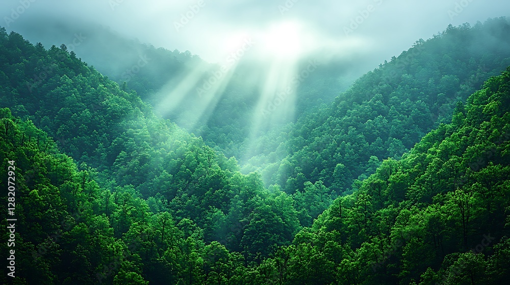 Obraz premium Soft clouds draped over a misty mountain valley, with the first rays of sunlight breaking through the fog.