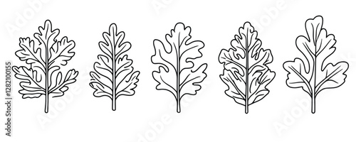 Oak leaves vector icons set: linear flat style leaf designs. photo