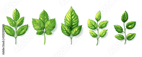 Flat icons set of green leaves, herbs, and plants - vector style.