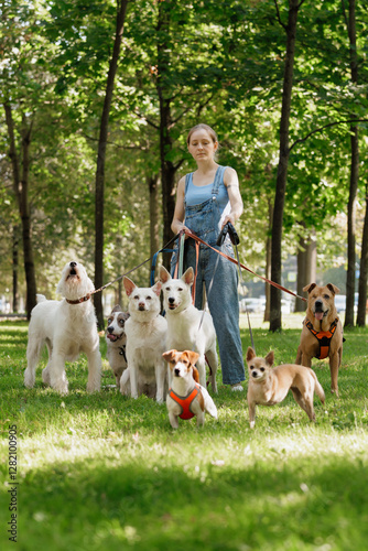 young woman Professional dog walker or pet sitter walks a pack of cute dogs of different breeds and rescue dogs on leash on city street. happy animals with their owner in park, training