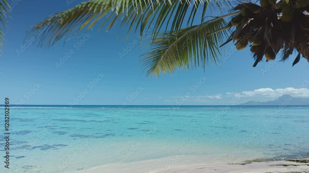 Coconut palm trees swaying gently in warm breeze on tropical beach, crystal clear turquoise waters and vibrant blue sky, serene and idyllic paradise. Exotic travel vacation getaway. Drone flight