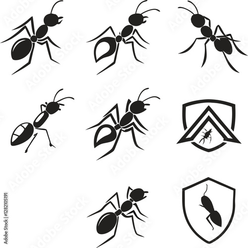 set of black ants vector illustration