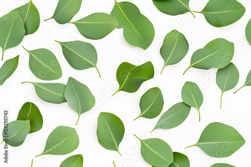 seamless background pattern of eucalyptus leaves with soft, matte finish