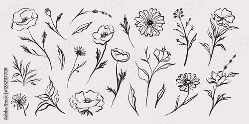 Flower abstract hand drawn brush ink or chalk stroke. Floral sketch doodle elements, simple blossom grunge outlines. Vector minimalistic blossom symbols set