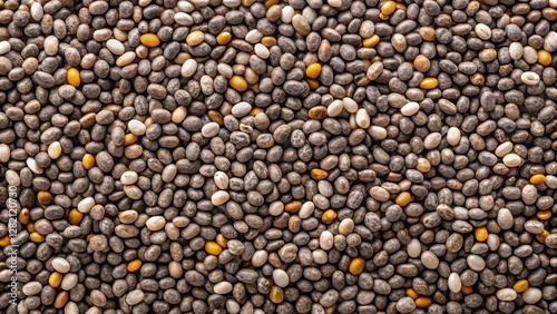 Wallpaper Mural close up of a lot of sunflower seeds Torontodigital.ca