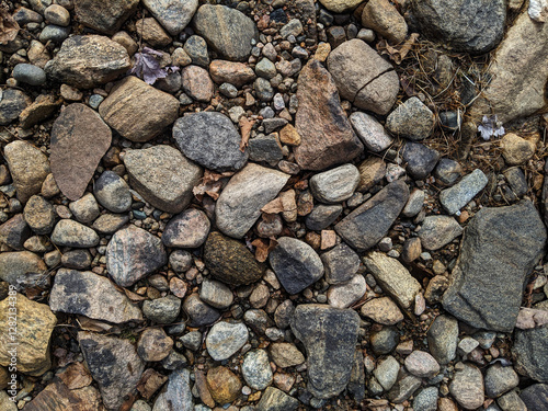 Wallpaper Mural A close-up of colourful rocks making a nice textured background Torontodigital.ca