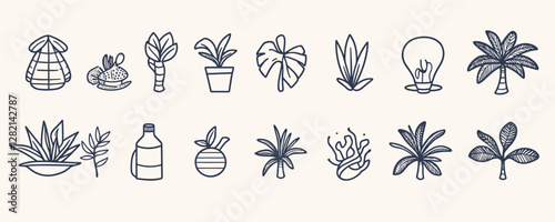 Flat linear icons set of tropical plants and bottles.