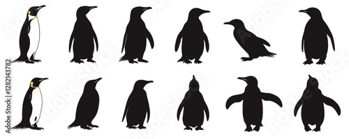 Flat linear penguin silhouette icons set in vector style.