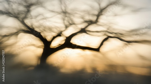 A hauntingly beautiful silhouette of a leafless tree against a soft, blurred background at sunset.
