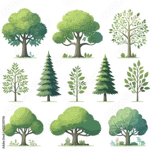 A vibrant illustration showcasing a set of various tree types, including different shapes, sizes, and colors. Perfect for environmental projects, educational materials, landscape design presentation