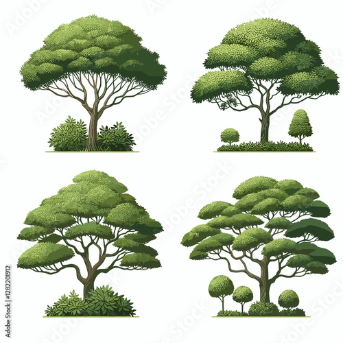 A vibrant illustration showcasing a set of various tree types, including different shapes, sizes, and colors. Perfect for environmental projects, educational materials, landscape design presentation