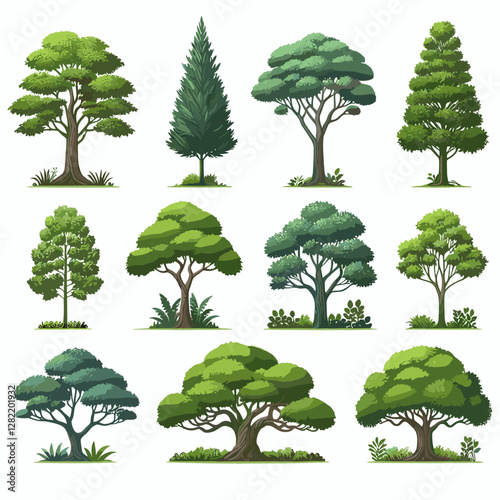 A vibrant illustration showcasing a set of various tree types, including different shapes, sizes, and colors. Perfect for environmental projects, educational materials, landscape design presentation