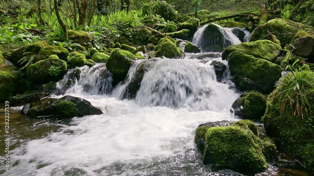 Scenic waterfall flowing over moss-covered rocks in a dense forest in Adjara, Georgia. Scenic waterfall flowing over moss-covered rocks in a dense forest in Adjara, Georgia.