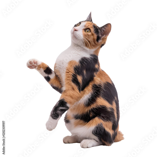 Illustration of calico cat sitting and raising paw to beg for treat or to go outside or to play transparent background