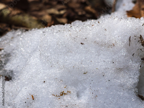 日差しに輝く草むらの残雪34 photo