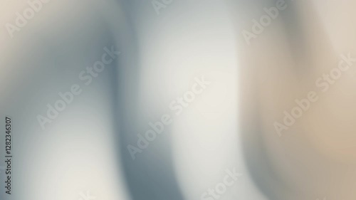 A blurred and soft abstract composition with smooth gradient transitions in neutral tones.