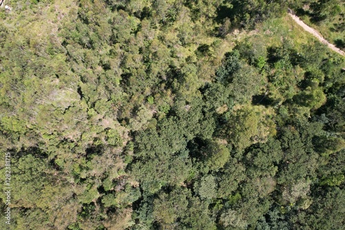 Uma imagem de uma floresta tropical obtida em um sobrevoo com drone, no Brasil.