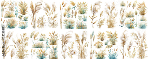 pampas grass watercolor clipart