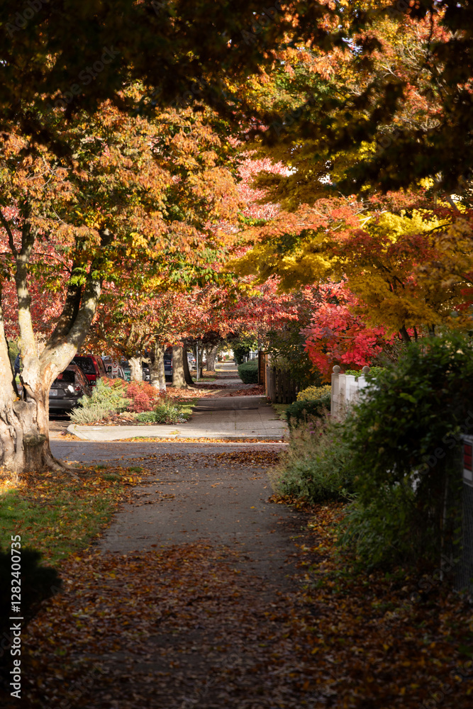 Naklejka premium alley in autumn park