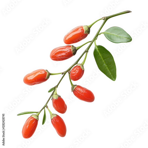 Wallpaper Mural branch with several vibrant red goji berries. showcasing their glossy surface and green leaves this composition highlights the natural beauty of the berries. often associated with health benefits and Torontodigital.ca