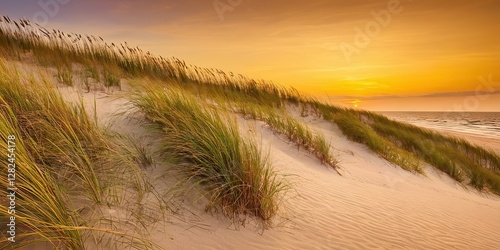 Wallpaper Mural Sand dunes with beach grass on the north sea in sunlight with blue sky D5 Torontodigital.ca