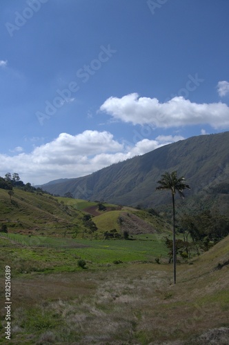 Montañas del Estado Tachira.
Un estado Andino que nos deleita con sus grandes y variadas montañas cubiertas de arboles muy verdes! photo
