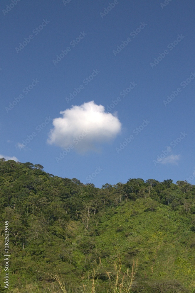 La gran cantidad de montañas y su verdor natural proporciona grandes cantidades de agua utiles a la agricultura. La gran cantidad de montañas y su verdor natural proporciona grandes cantidades de agua utiles a la agricultura.