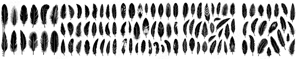 vector, isolated black silhouette of a bird feather, collection, black and white color, plain white background vector, isolated black silhouette of a bird feather, collection, black and white color, plain white background