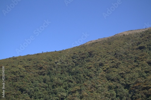 Montañas del Estado Tachira.
Un estado Andino que nos deleita con sus grandes y variadas montañas cubiertas de arboles muy verdes!